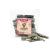 DIBO salmon skin 50g bag the small snack or treat for in between meals dog food 50 g (1 pack)