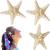 4 Pieces Starfish Hair Clip Mermaid Crown Mermaid Hair Accessories Mermaid Hair Clips Resin Sea Star Hairpins Pretty Beach Hairpin Hair Barrettes Mermaid Accessories for Women Girls(Starfish)