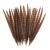 AWAYTR 20pcs Natural Pheasant Feathers - Pheasant Tail 8-11inch(21-28cm) for DIY Decoration (Female Pheasant Tail) Female Pheasant Tail 8-11inch(21-28cm)