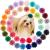 KANGAROO 40 Colors Flower Small Dogs Hair Bows Alligator Hair Clips Cat Puppy Party Birthday Grooming Hair Accessories Alligator Clips