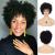Sallcks Short Black Kinky Afro Wig for Black Women Short Curly Afro Wigs Natural Synthetic Curly Cosplay Costume Wigs with Wig Cap