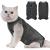 Avont Katzenbody after op recovery suit clothing modal recovery castration Spay weaning leak protection suit for cat abdominal wounds or skin diseases-l-dark gray dark gray l