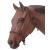 Tough 1 Horse Poly Rope Tied Halter Black