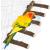Parrot Wood Stand for Cage 12.2Inch Length Parrot Wood Perch Natural Bird Cage Ladder for Small Medium Parrot Conures Hamster Parakeets Cockatiels