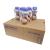24X FORTISIP CHOCOLATE NUTRITIONAL HIGH ENERGY MILKSHAKE SUPPLEMENT 200ML BOTTLE Chocolate 200 ml (Pack of 1)