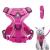 Adjustable cat dishes breakout cat dishes with a line set software for cat breasts for cats kitten dogs puppies (pink -m) ... m pink