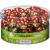 Riegelein Ladybug 45 pieces (281.25g) - Fine milk chocolate