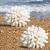 Besimplle 2 pieces of artificial corals ornaments aquarium resin coral decor underwater sea plants aquarium decoration aquarium plant white/opulent garden