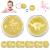 Veekay tooth fairy coins 10 pieces tooth fairy goldtaler tooth fairy coins tooth fairy gift gold coins children lost tooth children gifts souvenir commemorative coin tooth fairy gifts for girls boy 10pcs