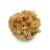 Natural Sea Wool Art Sponge: Premium Professional Grade 5-6 Unbleached  Excellent for Painting  Decorating  Texturing  Sponging  Marbling Effects  Faux Finishes  Crafts & More
