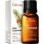 Gya Labs Atlas Cedarwood Essential Oil Organic for Hair & Diffuser - Natural Atlas Cedarwood Oil - Essential Oil Cedarwood Oil Organic for Aromatherapy & Skin (10ml) Organic Cedarwood 10 ml (Pack of 1)