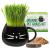 Organic Cat Grass Growing kit with Organic Seed Mix, Organic Soil and Cat Planter. Natural Hairball Control and Remedy. Manufactured in The USA.