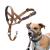 Halti head harness-prevents your dog from pulling on a leash simple adaptation light with padded nose strap anti-train neck band for small dogs (size 1 desert sand) desert sand 1