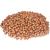 Anna and Sarah Large Oregon Hazelnuts in Shell, 5 Lbs 5 Pound (Pack of 1)