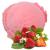 Strawberry Flavour 1 Kg Danish Soft Ice Cream Gino Gelati Ice Cream Powder Soft Ice Cream Powder Ice Cream Powder