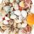 WEOXPR Mixed Sea Shells, 100+ Pcs Beach Seashells Starfish, Various Sizes Ocean Seashells for Fish Tank Vase Fillers, Beach Theme Party Wedding Decor, Candle Making, DIY Crafts, Home Decorations