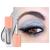 Oulac Liquid Glitter Eyeshadow Silver Eyeshadow Liquid Shimmer Eyeshadow & Eyeliner with Fine Sparkle Blendable Sparkly Eye Make-up Crease-Free Vegan Cruelty-Free 5.4g Bling Silver (13)