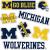 University of Michigan Sticker Wolverines UM U of M Stickers Vinyl Decals Laptop Water Bottle Car Scrapbook T2 (Type 2)