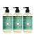 Mrs. Meyer's Hand Soap Made with Essential Oils Biodegradable Formula Basil 12.5 fl. oz - Pack of 3 Basil 12.5 Fl Oz (Pack of 3)