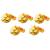 NV only chocolate gold coins 5x100g