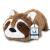 Pettec interactive cat toys electrically for self -employment - movable raccoon with catnip - interactive cat toy - automatic cat toys - cat toys