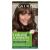 Clairol Natural Instincts Demi-Permanent Hair Dye  6A Light Cool Brown Hair Color  Pack of 1 6A Light Cool Brown 5.85 Fl Oz (Pack of 1)