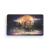 Makeup Revolution Forever Flawless Eyeshadow Palette Enchanted Enchanted 19.8 g (Pack of 1)
