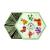 ACORUS | Travel Tea Set - Round-the-world | 6 Flavors Herbal and Fruit Tea Box | Trip of Your Dreams with Selection of Teas You Have Never Tasted Before | Large Selection Tea Gift Set - 60 Tea Bags