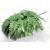 24 Artificial Silk Green Fern Leaf Picks for Floral Arranging  Crafting and Creating