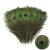 THARAHT 12pcs Peacock Feather Natural in Bulk 10-12 inch 25-30cm for Craft Vase Wedding Home Party Christmas Day Decoration Peacock Feathers 10-12Inch-Big Eyes-12PCS