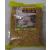 Fried Garlic 1 Lb 1 Pound (Pack of 1)