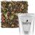 Tealyra - White Champagne - White Loose Leaf Tea - High level of Antioxidants - Natural - Healthy Tea - Hot and Iced Tea - Caffeine Level Low - 100g (3.5-ounce) 3.52 Ounce (Pack of 1)