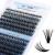 Cluster Eyelash Extensions 240pcs Cluster Lashes Individual Lashes D Curl 30D 40D 0.07mm 8-16mm Mix Ribbon Lashes Wide Stem Natural Lashes DIY Lash Extensions GEMERRY Lashes(30D+40D-D-0.07-8-16mm) 8-16 mix 30D+40D-0.07D