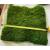 prefleur Preserved Sheet Moss Natural Green Decorative Real Natural Green DIY Kit Gardenning Art Wall Decor Florist Decor Easter Table Decor Wedding(2 sq.ft.) (Green-B) Green-b 2.0 sq.ft.
