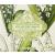 AAA Floral - 4 x 50 ml - Travel & Gift Collection (Shower Gel Body Lotion Shampoo & Conditioner) - (Lily of the Valley) - TSA/Airport Security Approved Size