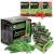 Longevity Dehydrated Sea Grapes, 4.23 oz of 6 packs, - Umibudo Green Caviar, Lato Seaweed, Precious Gift From The Sea | Enhance Health, Boosting Immune System. Original 4.2 Ounce (Pack of 6)