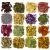 16 Bags Dried Flowers for Soap Making  Dried Flowers for Candle Making  Soap Flowers and Dried Herbs for Candle Oil  Bath Bombs. Essential Fragrant   The Best Variety of Grade A Flowers 16 Kinds 16 bags