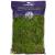 SuperMoss (25322) Forest Moss Preserved, Fresh Green, 8oz 200 in3 Bag (Appx. 8oz)