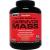 Muscle Meds Carnivor Mass