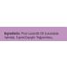 UpNature Lavender Essential Oil Roll On - Calming Sleep Aid for Stress Relief, Relaxation, Skin & Hair Growth - Pure & Natural Scent, No Diffuser Required! - Buy Online on GoSupps.com