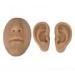 Realistic Silicone Ear Model for Display - Soft Flexible 3D Ear Nose & Mouth - Perfect for Novice Practice Dark Skin Color - Buy Online on GoSupps.com