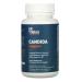 Dr. Tobias Candida Support 60 Capsules