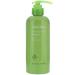 Innisfree Green Tea Fresh Shampoo 10.14 fl oz (300 ml)