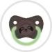 Buy Anatomical Silicone Pacifier - Exotic Animals by Canpol Babies (0-6 Months) | International Shipping Available - Buy Online on GoSupps.com