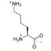 L-Lysine Powder 500g Pharmaceutical Grade - Additive Free - Buy Online on GoSupps.com