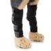Dog Front Leg Braces Canine Compression Wraps Pet Knee Pad Dog Elbow Protector with Reflective Straps Help with Ligament Injuries Sprains and Loss of Stability Caused by
