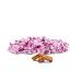 Light Pink Individually Wrapped Caramels - 2 Pound Bag - Approximately 190 Pieces