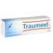 Traumeel S Cream 50g Tube
