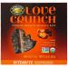 Nature's Path Love Crunch Premium Organic Granola Bars Dark Chocolate Peanut Butter 6 Bars 1.06 oz (30 g) Each