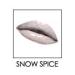 Buy Lip Ink Organic Vegan Tinted Lip Plumper - Snow Spice | International Shipping Available - Buy Online on GoSupps.com